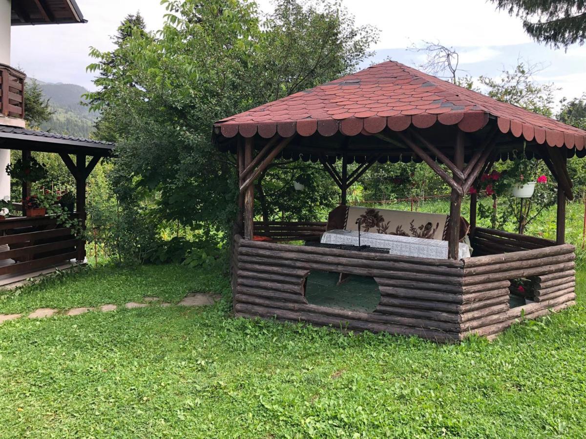 Hotel Casa Viorica Statiunea Zewnętrze zdjęcie