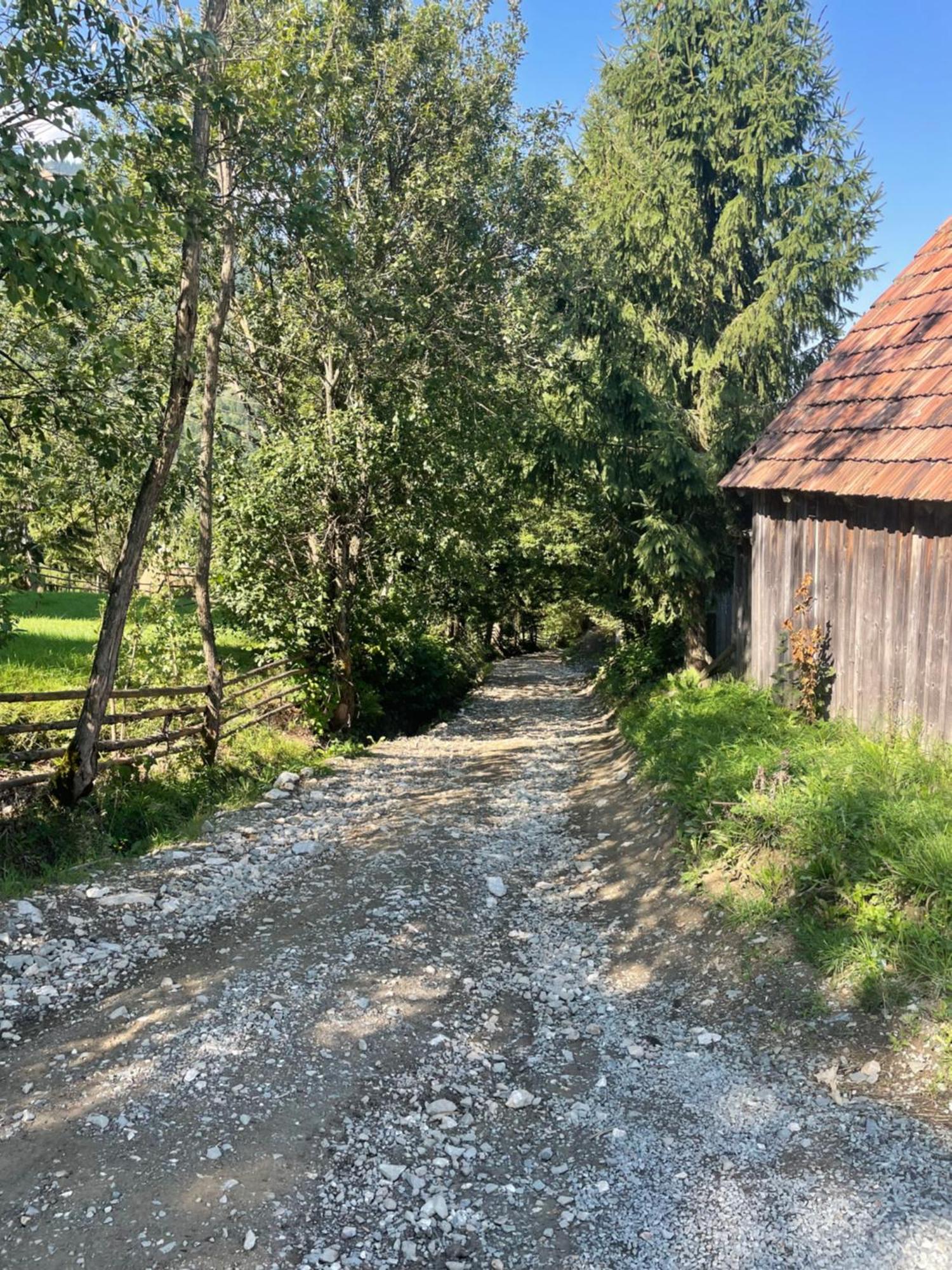 Hotel Casa Viorica Statiunea Zewnętrze zdjęcie
